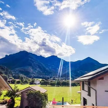 Reisenauer マルクヴァルトシュタイン